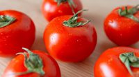 resep hernis resep saus tomat rumahan